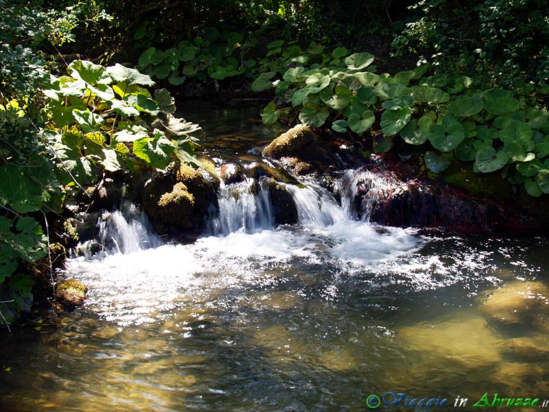 16-P1011883+.jpg - 16-P1011883+.jpg - Una piccola cascata lungo il suggestivo tratto del torrente Rio Verde all'interno della Riserva Naturale.