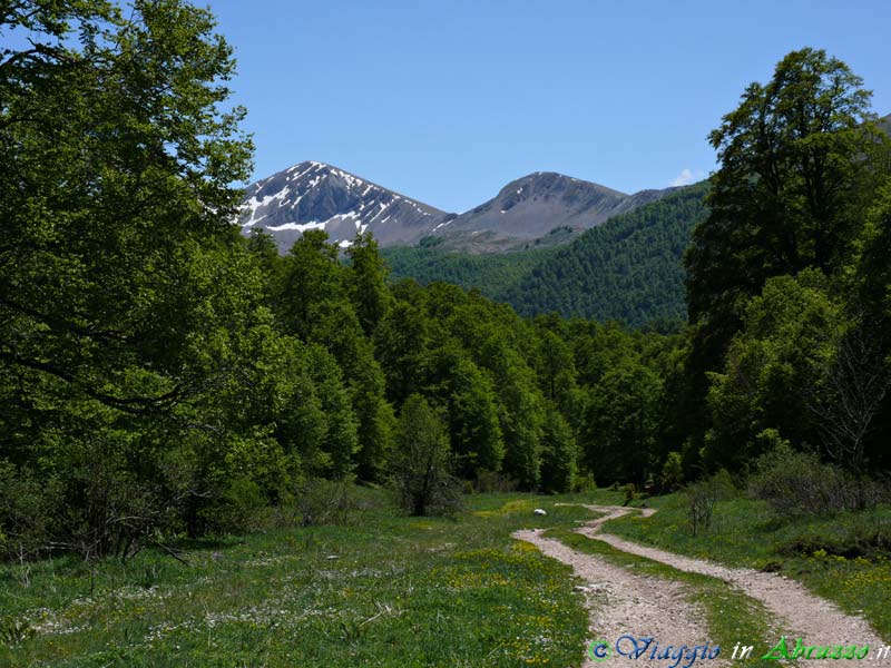18_P1040037+.jpg - 18_P1040037+.jpg - Un sentiero naturalistico del Parco Nazionale d'Abruzzo cui si accede da Pescasseroli.