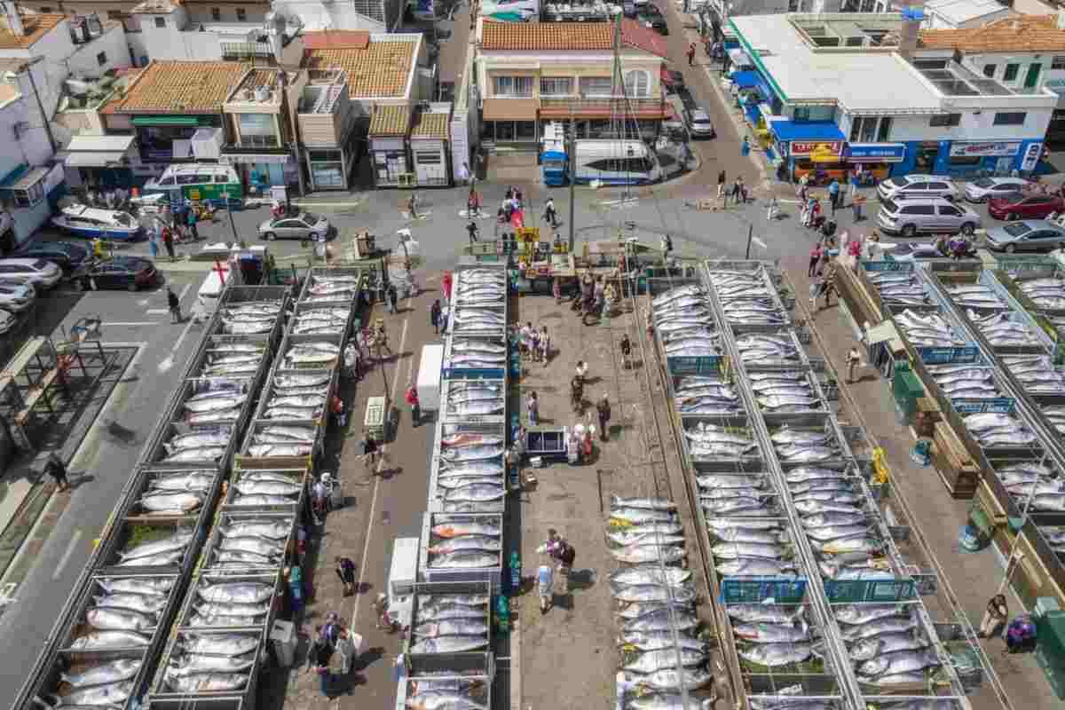 Finanziamento fondi mercato ittico