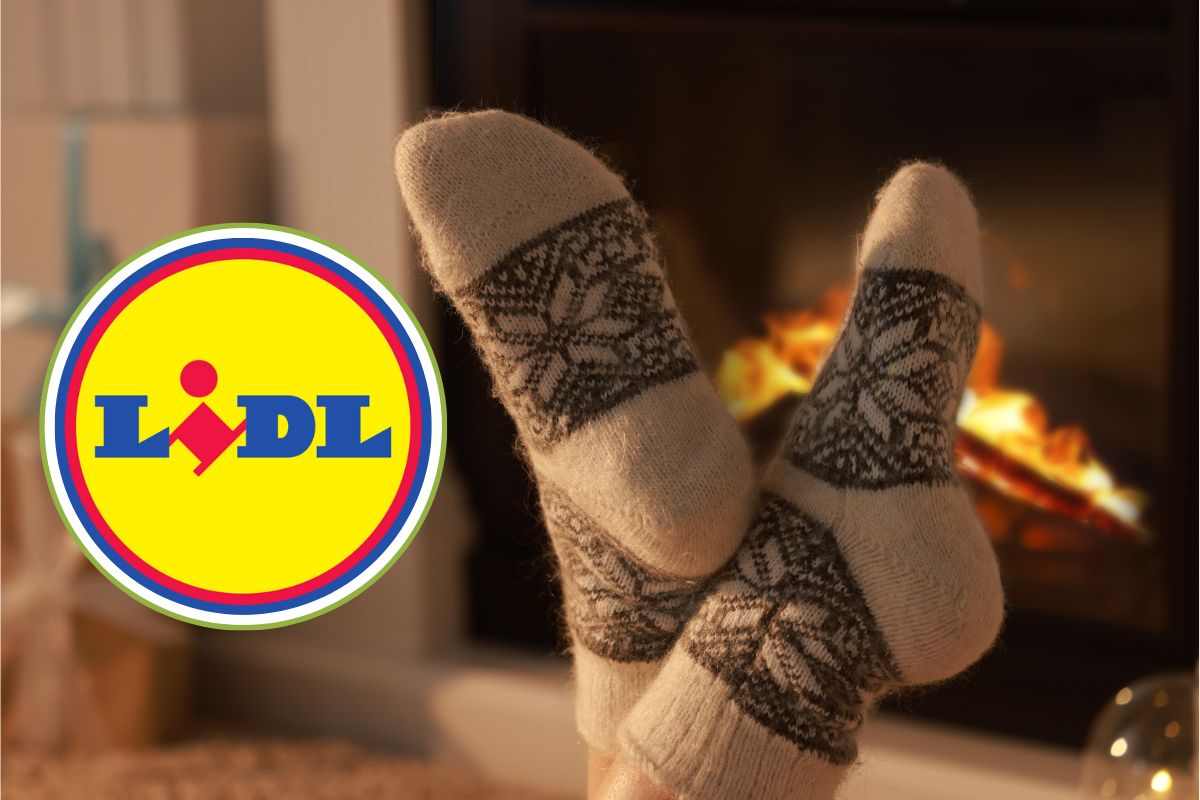 Lidl- offerte