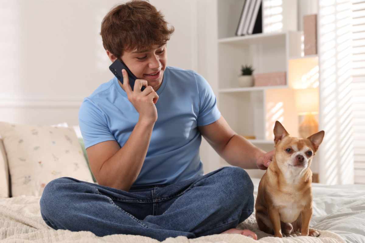 cane finta telefonata