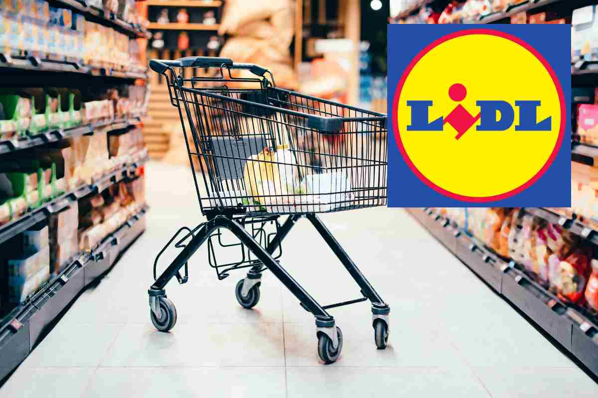 I dupes della Lidl imperdibili che sicuramente non conosci