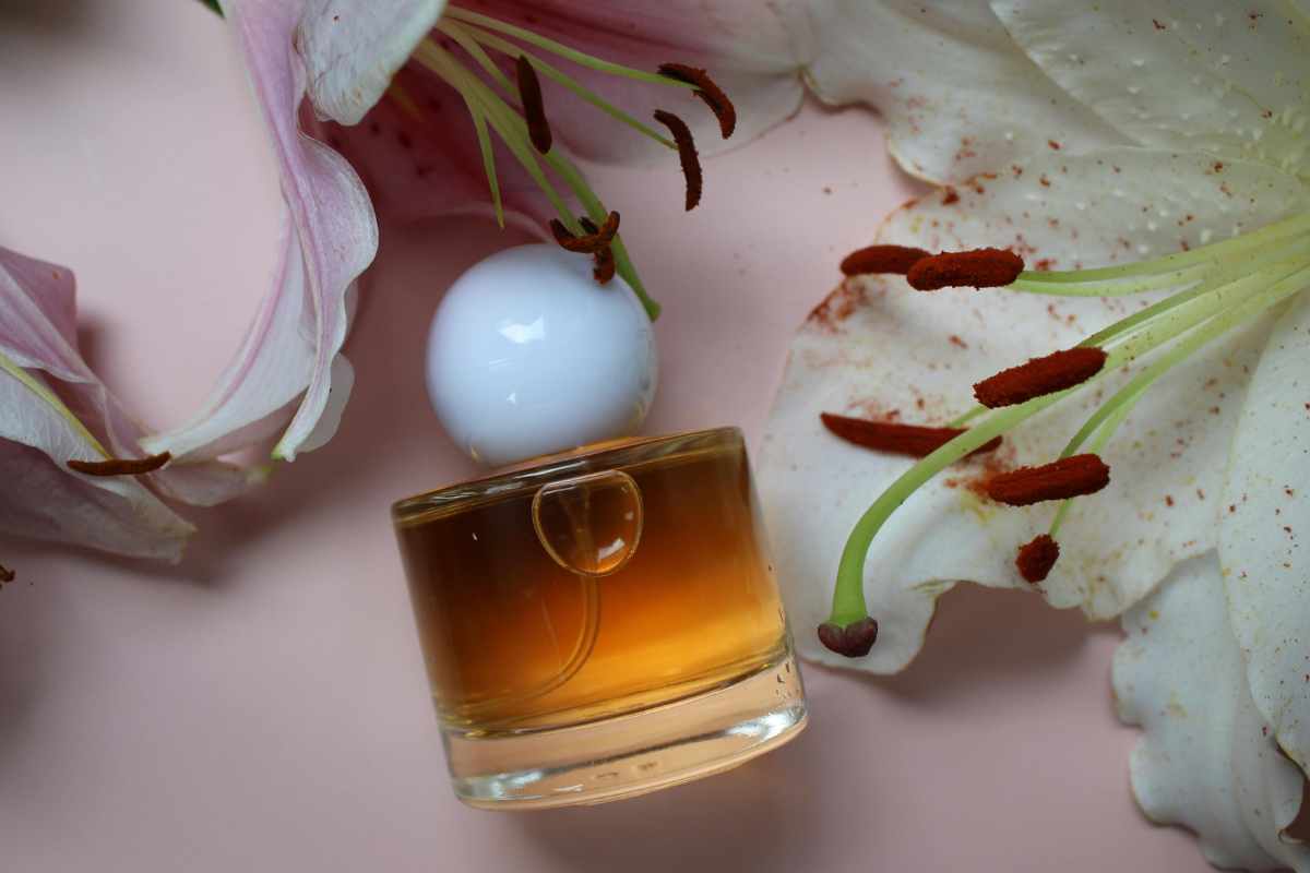 I dupes della Lidl imperdibili che sicuramente non conosci