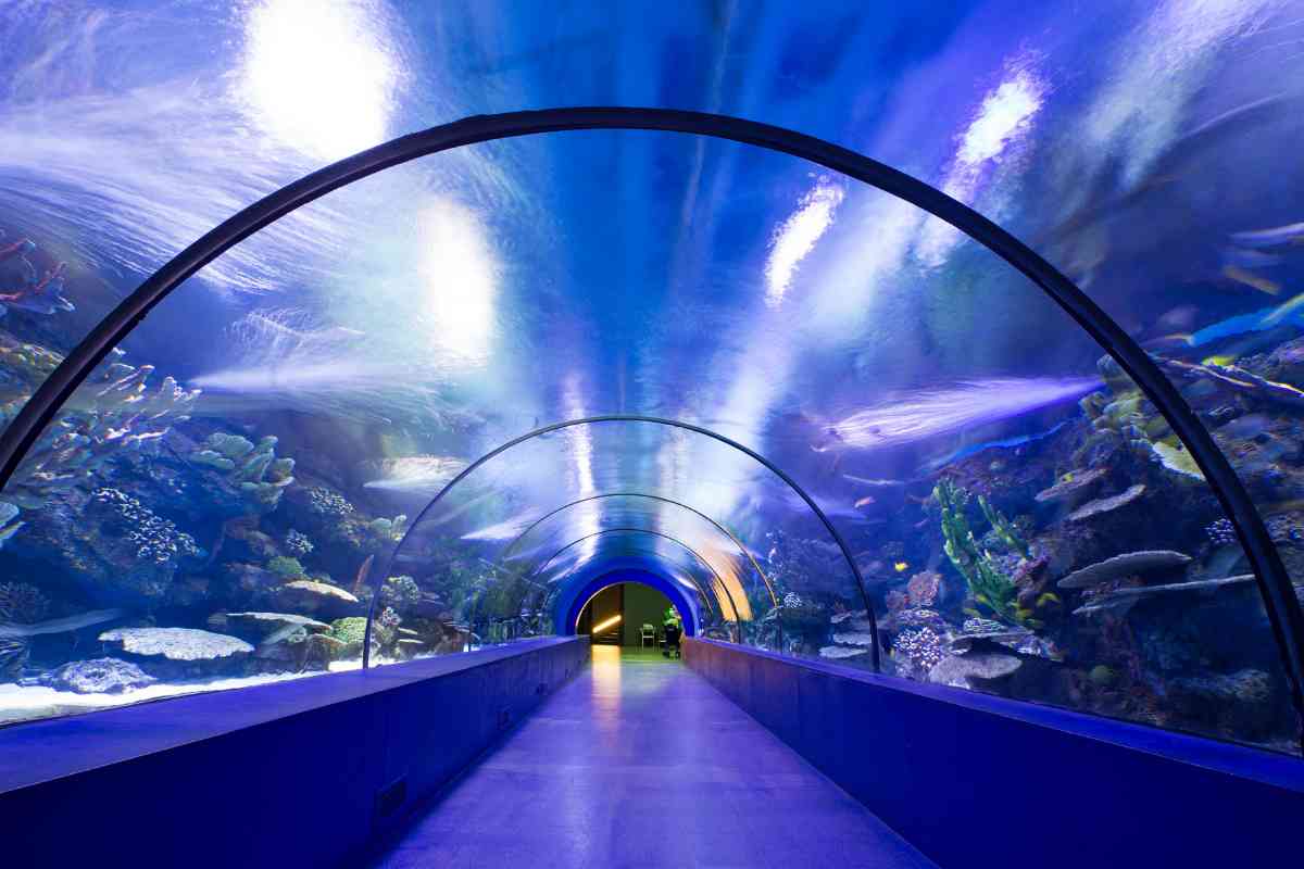 Non lo sai, ma è in Italia il tunnel sottomarino più grande d’Europa